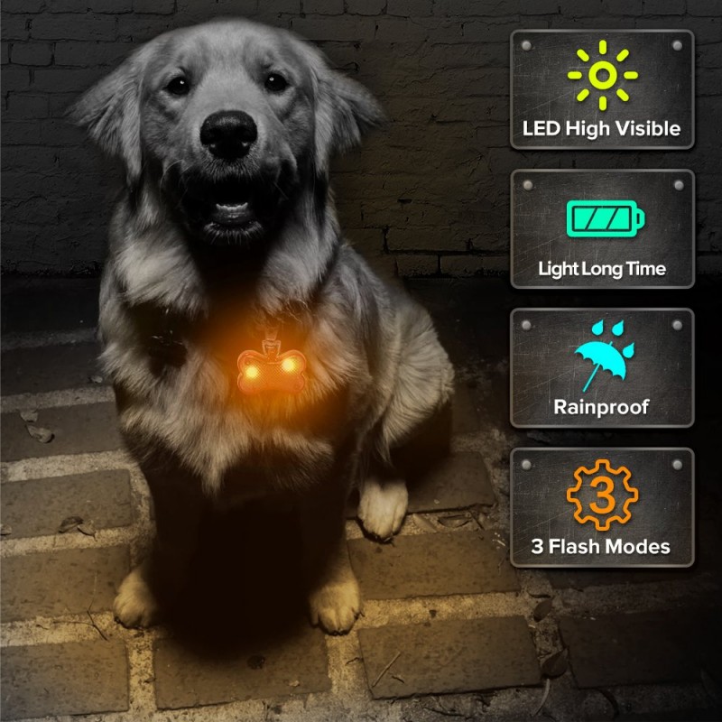 LED Dog Glow in The Dark Pet Tags Bone Shape Pet ID Tag Safety Collar